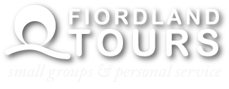 Fiordland Tours logo