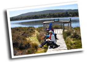 Best bits of hte Kepler TRack NZ with FIordland Tours and Walks
