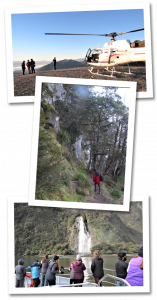 A selecton of guided day walk images from the Kepler Track with Fiordland Walks