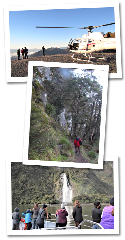 A selecton of guided day walk images from the Kepler Track with Fiordland Walks